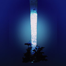 Shiny Blue