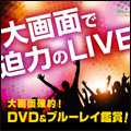 DVDu[Cӏ